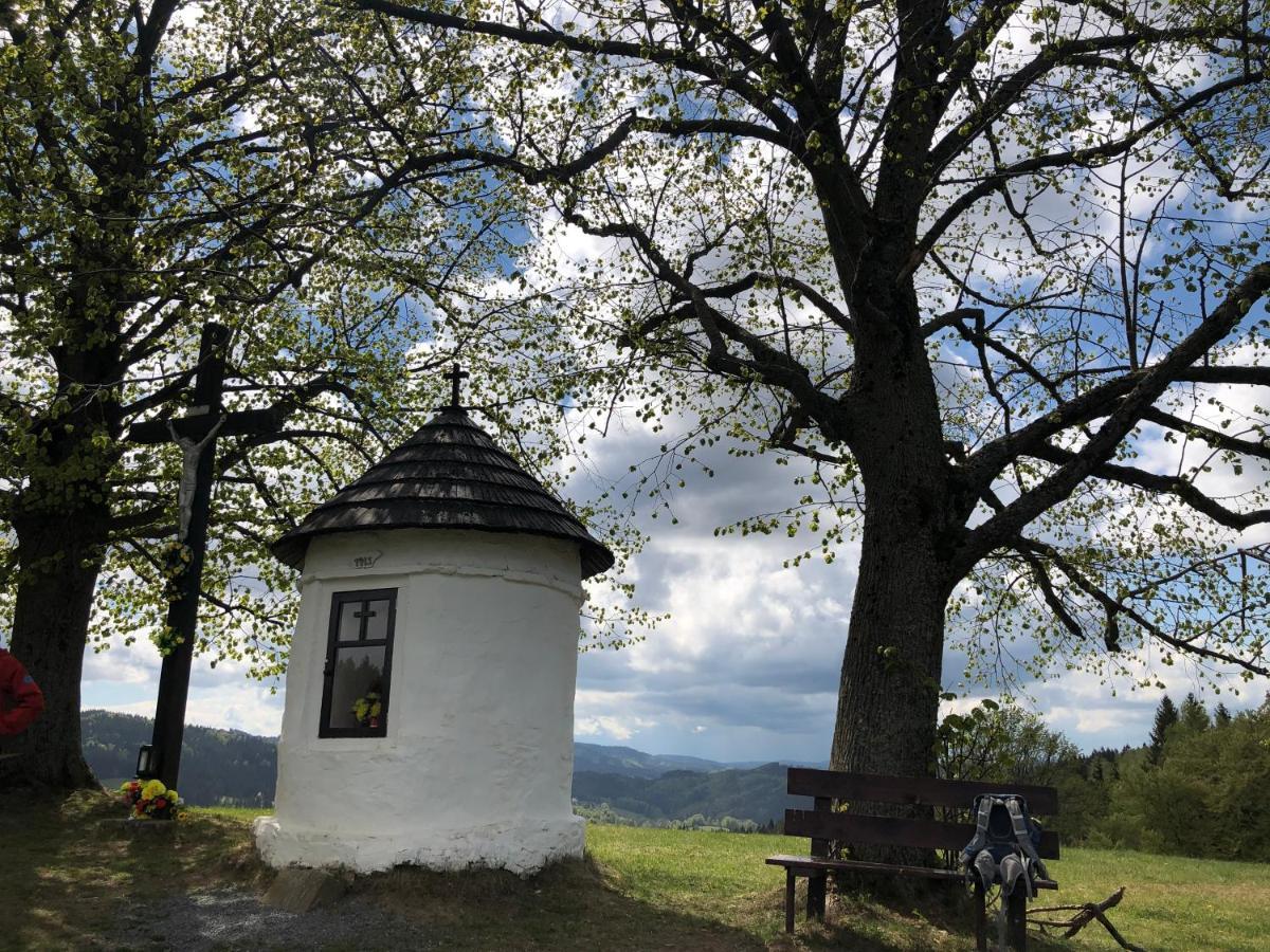 Horská chalupa Pluskovjanka Velké Karlovice Exteriér fotografie